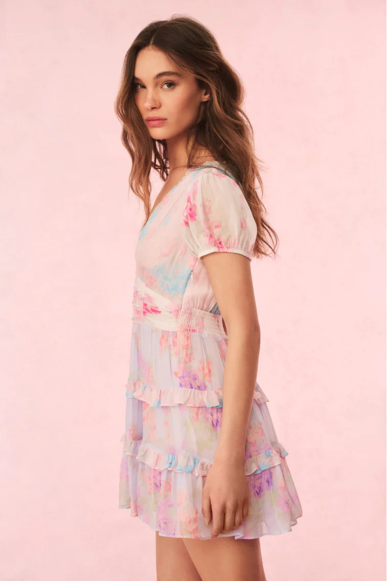 Spirea Floral Chiffon Mini Dress - Image 3